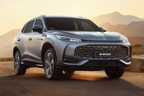 MG eHS — תמונה 1