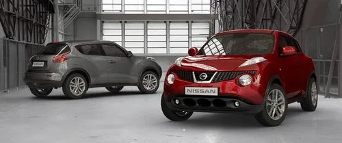 Nissan גוק — תמונה 1
